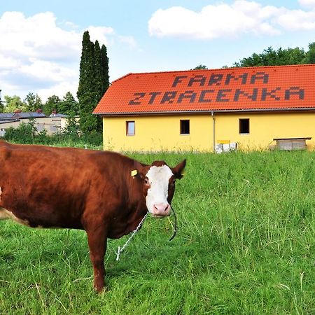 Porici nad Sazavou Farma Ztracenka酒店 外观 照片