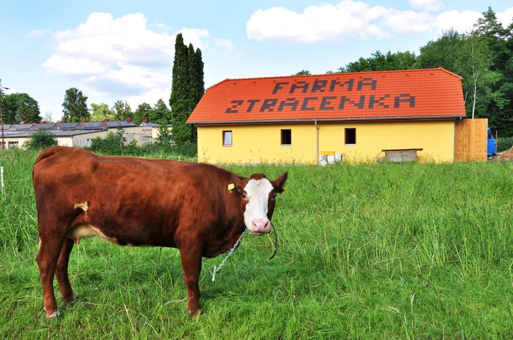 Porici nad Sazavou Farma Ztracenka酒店 外观 照片