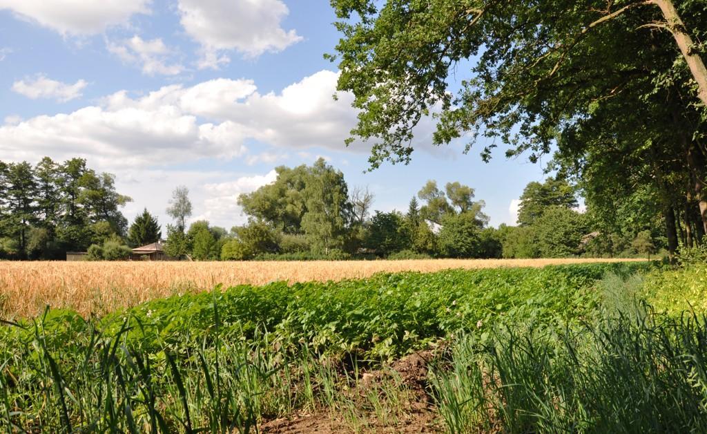 Porici nad Sazavou Farma Ztracenka酒店 外观 照片