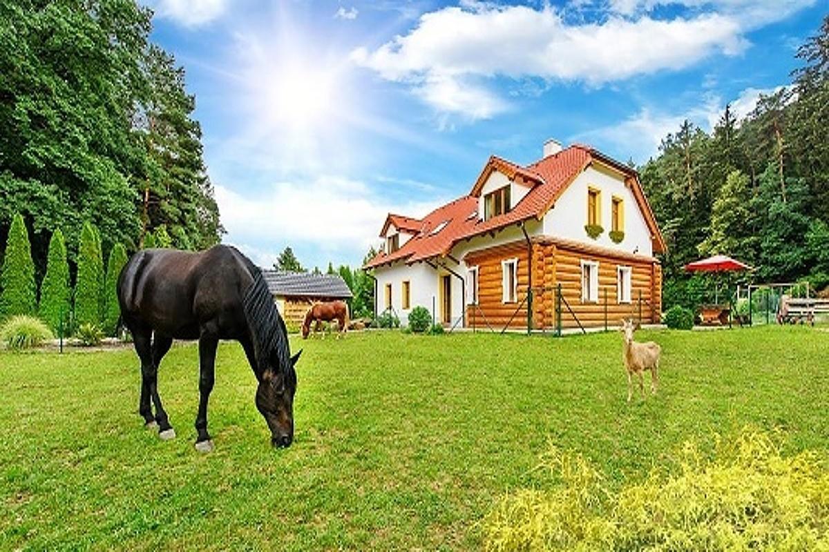 Porici nad Sazavou Farma Ztracenka酒店 外观 照片